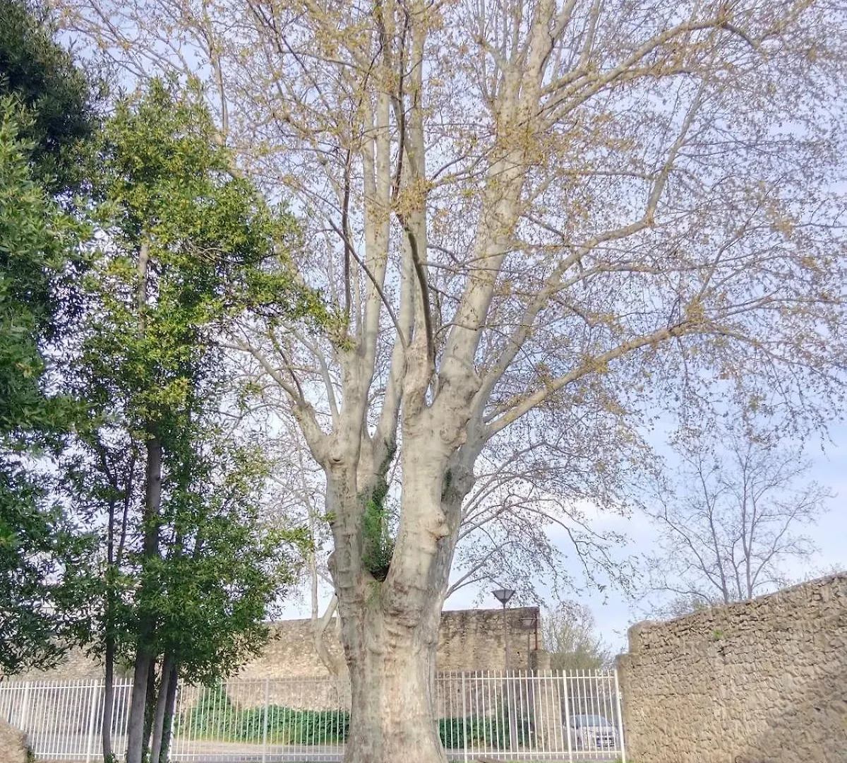 Petite Luma Apartamento Arles 0*,  França
